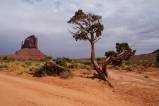 Monument Valley (Wild Cat Trail)