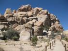 Joshua Tree NP