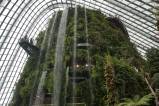 Gardens by the Bay (Cloud Forest)
