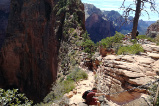 Angels Landing