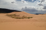Coral Pink Sand Dunes