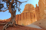 Bryce Canyon (Trails)