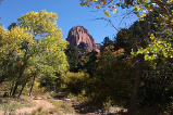 Kolob Canyon (Taylor Creek Trail)