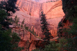 Kolob Canyon (Taylor Creek Trail)