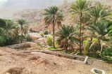 Wadi Tiwi