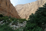 Wadi Shab