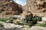 Wadi Shab